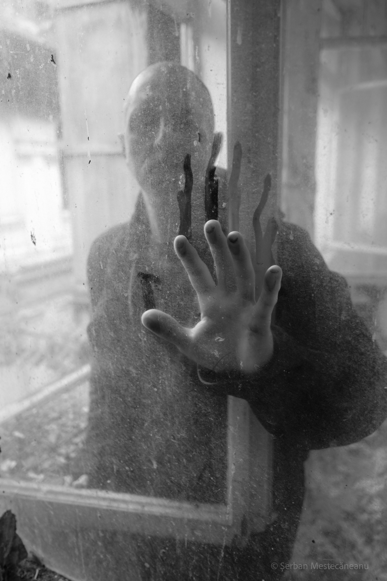 fotografiile sunt realizate de Șerban Mestecăneanu în cadrul proiectului personal început la TIFF în 2013 în care am fotografiat 300 de personalități din lumea filmului în interiorului hotelului Continental din Cluj. fotografiile sunt realizate de Șerban Mestecăneanu în cadrul proiectului personal început la TIFF în 2013 în care am fotografiat 300 de personalități din lumea filmului în interiorului hotelului Continental din Cluj.